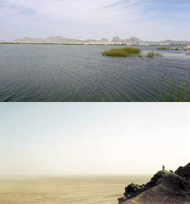 上：干上がる前のハームーン湿原、下：干上がった後のハームーン湿原