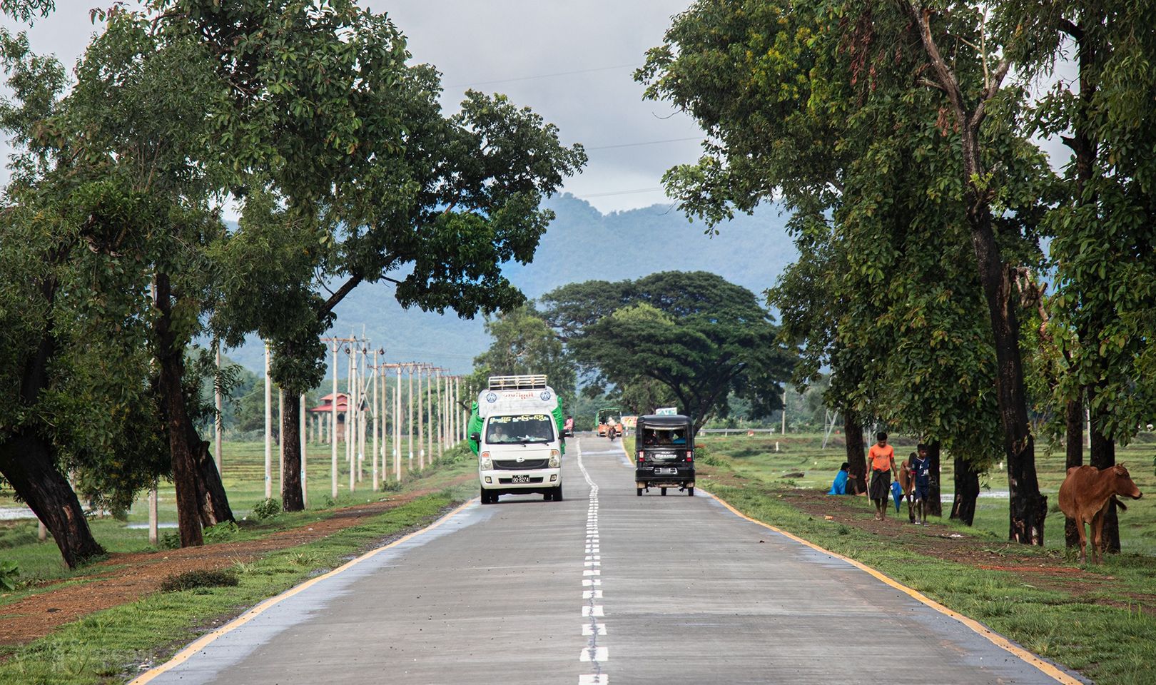 写真：シャインブシェー
